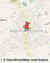 Piante e Fiori - Dettaglio Bagnolo Piemonte,12031Cuneo