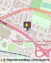 Società di Telecomunicazioni Casalecchio di Reno,40033Bologna