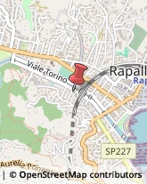 Agenti e Rappresentanti di Commercio Rapallo,16035Genova