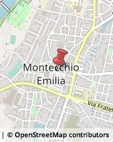 Massaggi Montecchio Emilia,42027Reggio nell'Emilia