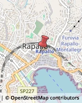 Avvocati Rapallo,16035Genova