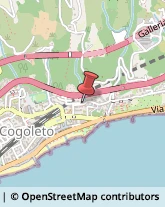 Caldaie a Gas Cogoleto,16016Genova