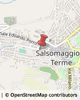 Saponette e Saponi Salsomaggiore Terme,43039Parma