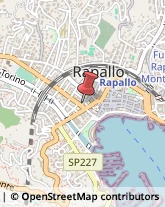 Imprese Edili Rapallo,16035Genova