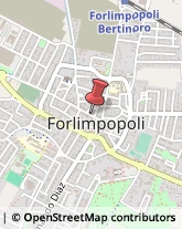 Ricerca Persone - Apparecchi Forlimpopoli,47034Forlì-Cesena