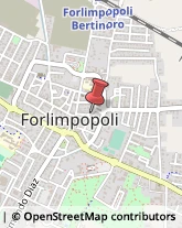 Massaggi Forlimpopoli,47034Forlì-Cesena