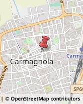 Logopedia Carmagnola,10022Torino