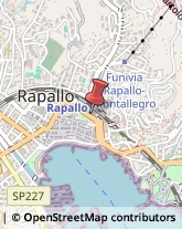 Abbigliamento Sportivo - Produzione Rapallo,16035Genova