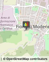 ,41042Modena