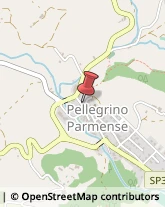 Panetterie Pellegrino Parmense,43047Parma