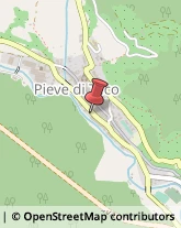 Aziende Agricole Pieve di Teco,18026Imperia