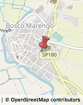 Legna da ardere Bosco Marengo,15062Alessandria