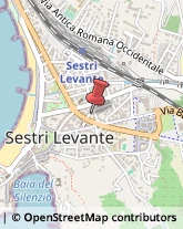 Articoli Sportivi - Dettaglio Sestri Levante,16039Genova