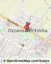 Estetiste - Scuole Ozzano dell'Emilia,40064Bologna