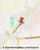 Enoteche,47521Forlì-Cesena