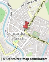 Tabaccherie Concordia sulla Secchia,41033Modena