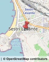 Agenzie Immobiliari Sestri Levante,16039Genova