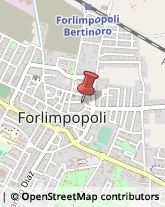 Arredamento - Vendita al Dettaglio Forlimpopoli,47034Forlì-Cesena