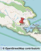 Occhiali - Produzione e Ingrosso Portofino,16034Genova