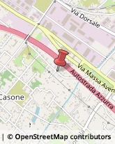 Aziende Agricole,54100Massa-Carrara