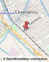 Paste Alimentari - Dettaglio Cesenatico,47042Forlì-Cesena