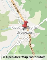 Scuole Pubbliche Riccò del Golfo di Spezia,19020La Spezia