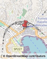 Parrucchieri Rapallo,16035Genova