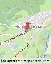 Associazioni ed Istituti di Previdenza ed Assistenza Licciana Nardi,54016Massa-Carrara