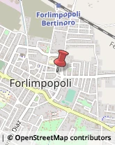 Istituti di Bellezza Forlimpopoli,47034Forlì-Cesena