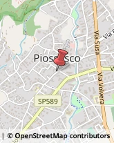 Bulbi e Sementi Piossasco,10045Torino