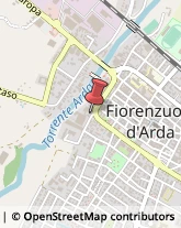 Autoveicoli - Radiatori Fiorenzuola d'Arda,29017Piacenza