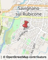 Studi Medici Generici Savignano sul Rubicone,47039Forlì-Cesena