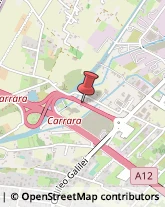 Trasporti Eccezionali Carrara,54033Massa-Carrara