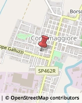 Agenzie Immobiliari Cortemaggiore,29016Piacenza