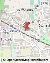 Bigiotteria - Produzione e Ingrosso Gambettola,47035Forlì-Cesena