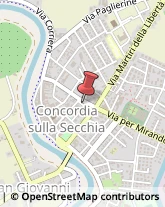 Leasing Concordia sulla Secchia,41033Modena