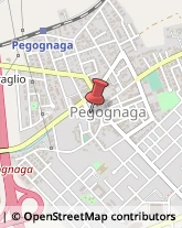 Onoranze e Pompe Funebri Pegognaga,46020Mantova