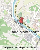 Veterinaria - Articoli e Prodotti Cairo Montenotte,17014Savona