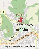 Mangimi e Foraggi Castelnovo Ne' Monti,42035Reggio nell'Emilia