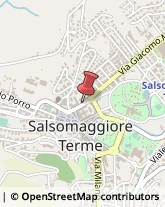 Psicologi Salsomaggiore Terme,43039Parma