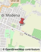 Ortofrutticoltura Novi di Modena,41016Modena