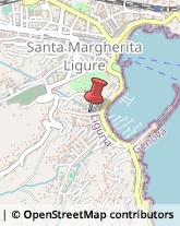 Maglieria - Produzione Santa Margherita Ligure,16038Genova