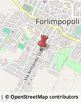 Demolizioni e Scavi Forlimpopoli,47037Forlì-Cesena