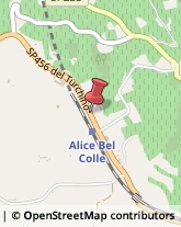 Cantine Sociali Alice Bel Colle,15010Alessandria