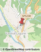 Associazioni Sindacali Varese Ligure,19028La Spezia