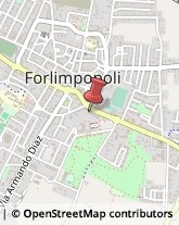 Logopedia Forlimpopoli,47034Forlì-Cesena