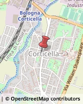 Ottica, Occhiali e Lenti a Contatto - Dettaglio Bologna,40128Bologna