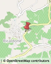 Aziende Agricole Ricaldone,15010Alessandria