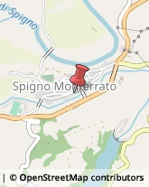 Piante e Fiori - Dettaglio Spigno Monferrato,15018Alessandria
