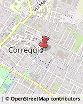 Articoli per Ortopedia Correggio,42015Reggio nell'Emilia